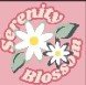 Serenity Blossom